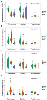 Dominant plant species play an important role in regulating bacterial antagonism in terrestrial Antarctica